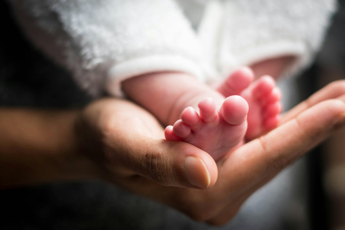 Tiny newborn baby feet cradled gently in a parent's hands